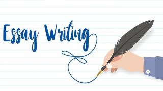 Essay